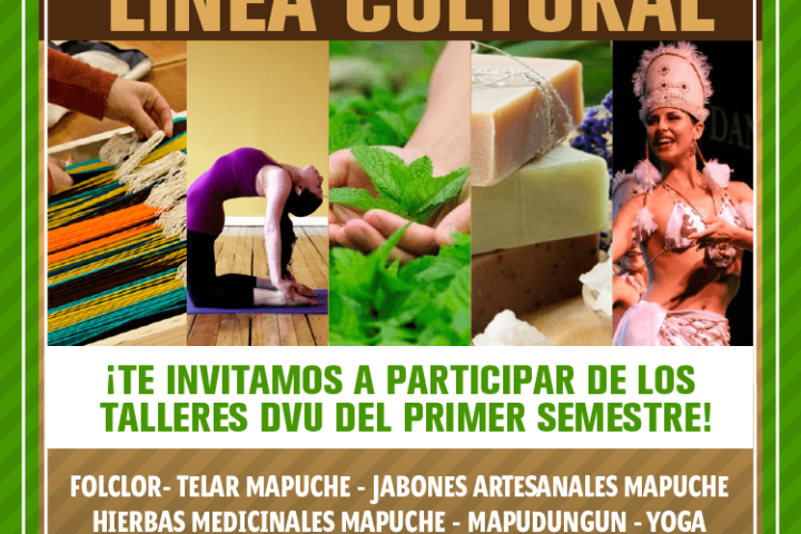 Talleres Línea Cultural