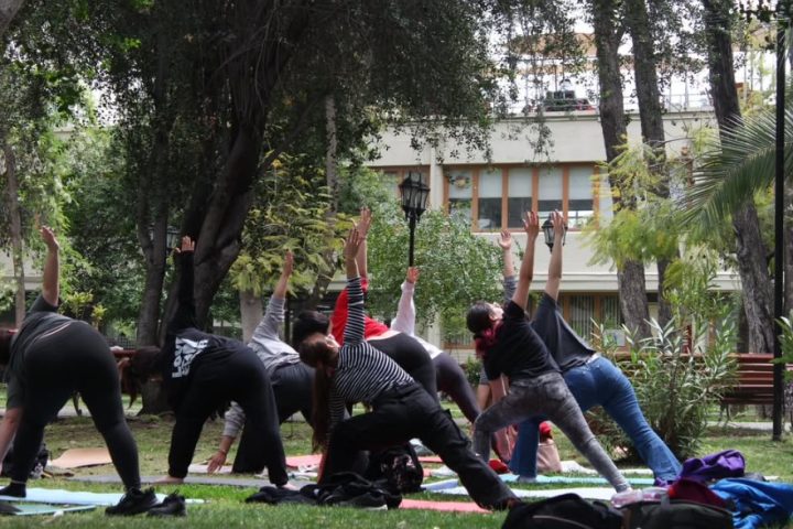 Feria de Salud Mental