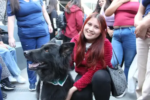 Grupo Canino de Carabineros