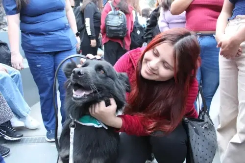 Grupo Canino de Carabineros