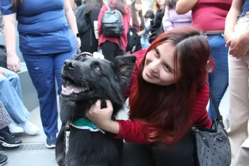 Grupo Canino de Carabineros