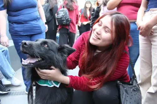 Grupo Canino de Carabineros