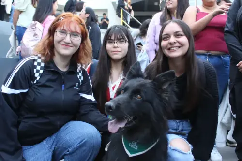 Grupo Canino de Carabineros