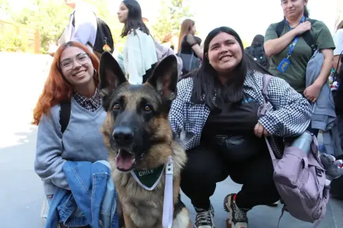 Grupo Canino de Carabineros