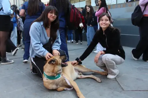 Grupo Canino de Carabineros
