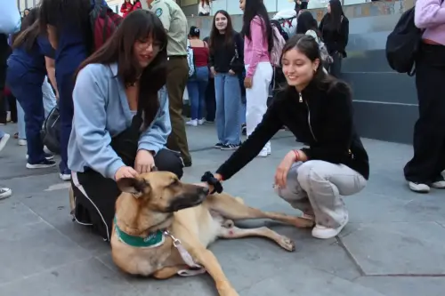 Grupo Canino de Carabineros
