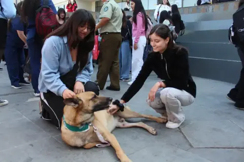 Grupo Canino de Carabineros