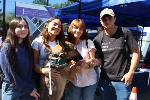 Grupo Canino de Carabineros