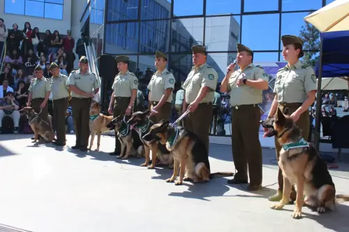 Grupo Canino de Carabineros