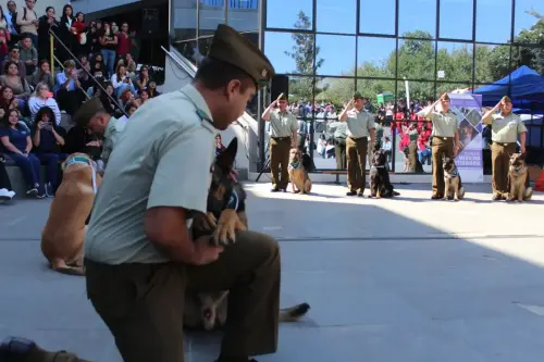 Grupo Canino de Carabineros