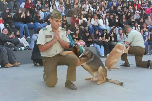 Grupo Canino de Carabineros