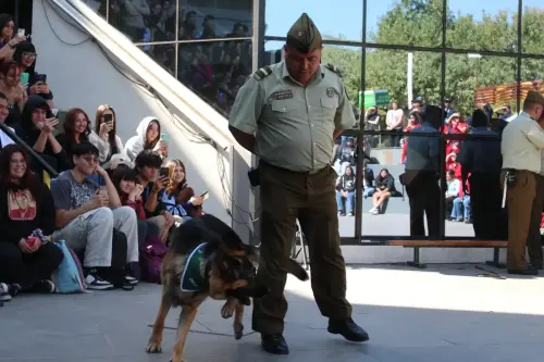 Grupo Canino de Carabineros