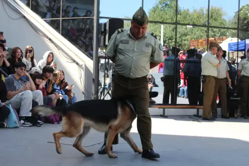 Grupo Canino de Carabineros