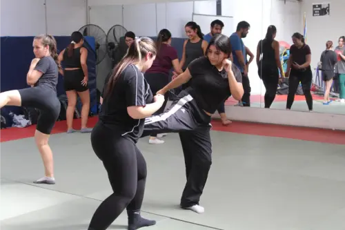 Inicio de talleres otoño 2025