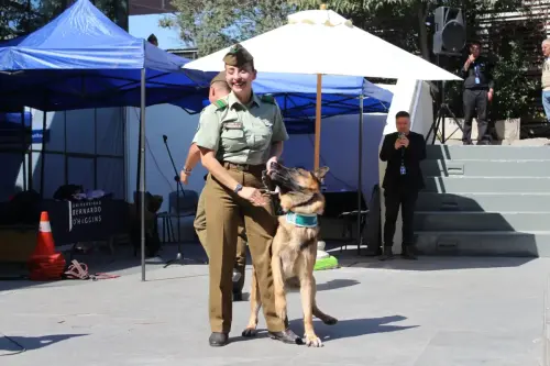 Grupo Canino de Carabineros