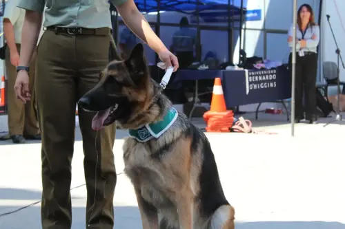 Grupo Canino de Carabineros