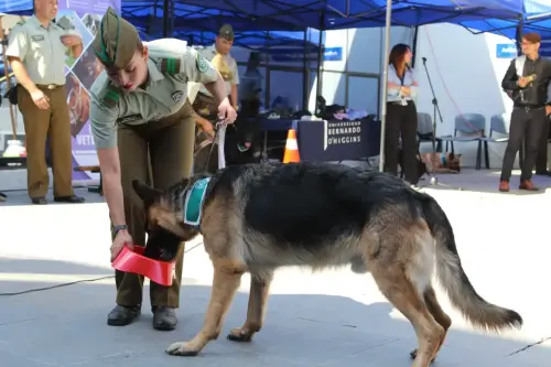 Grupo Canino de Carabineros
