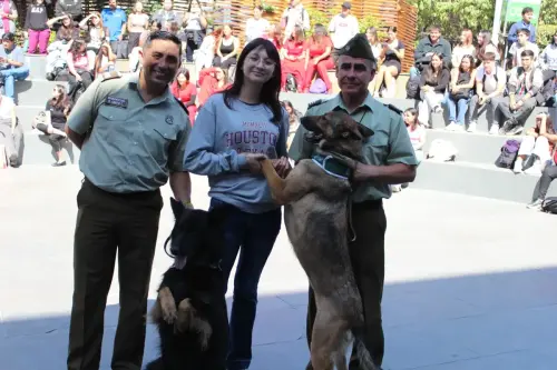 Grupo Canino de Carabineros