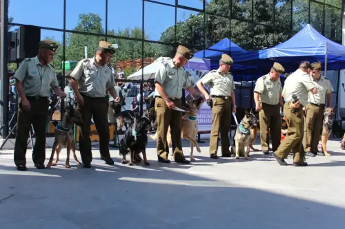 Grupo Canino de Carabineros