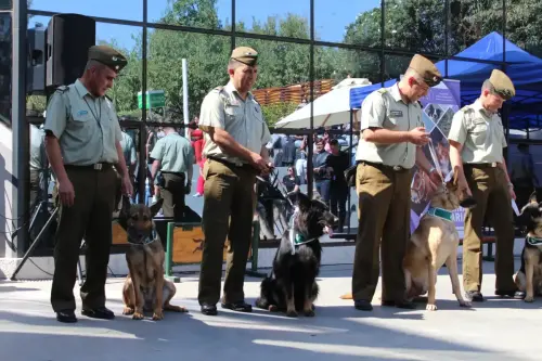 Grupo Canino de Carabineros