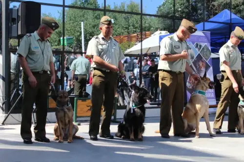 Grupo Canino de Carabineros