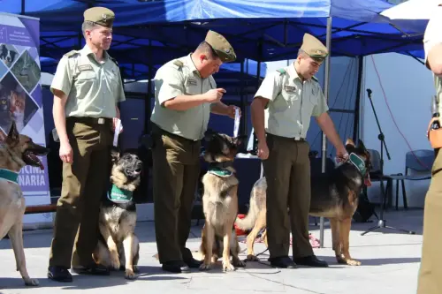 Grupo Canino de Carabineros