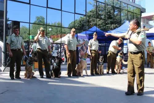 Grupo Canino de Carabineros