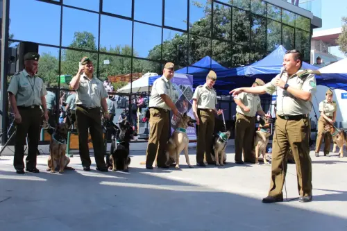 Grupo Canino de Carabineros