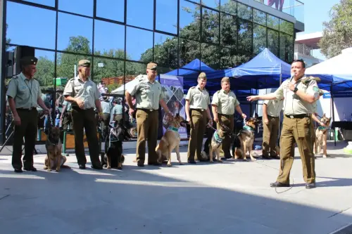 Grupo Canino de Carabineros