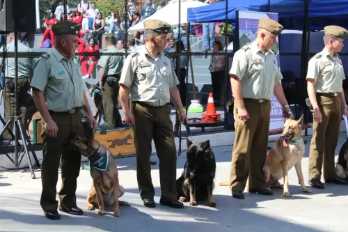 Grupo Canino de Carabineros