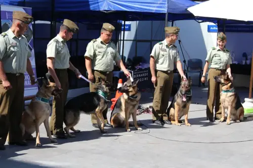 Grupo Canino de Carabineros