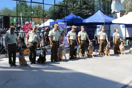 Grupo Canino de Carabineros