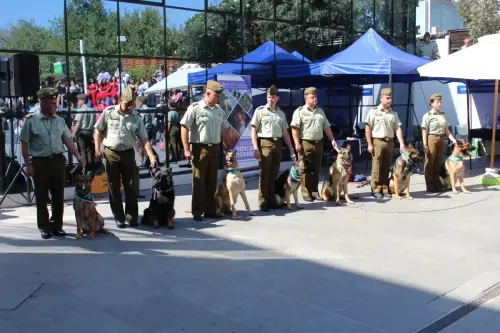 Grupo Canino de Carabineros