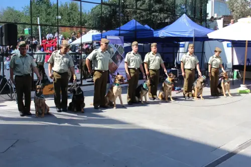 Grupo Canino de Carabineros