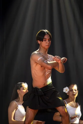 Talento Estudiantil 2025-085