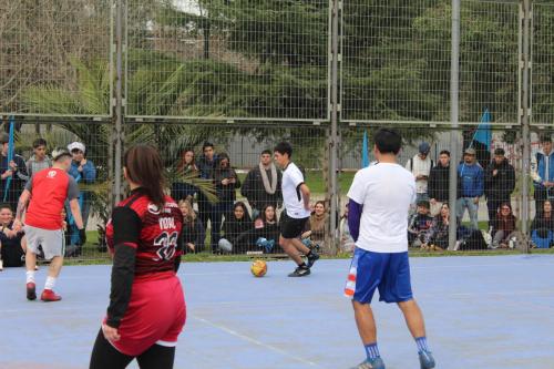 Alianzas de Aniversario 2024