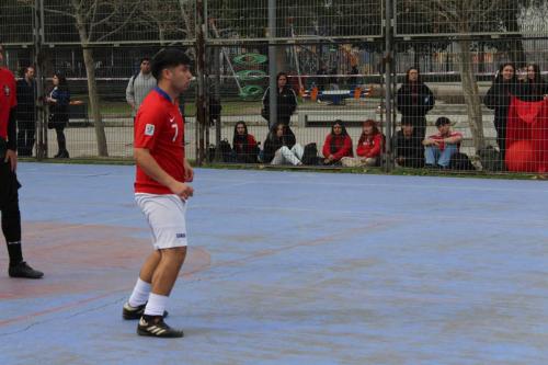 Alianzas de Aniversario 2024