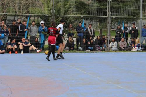 Alianzas de Aniversario 2024
