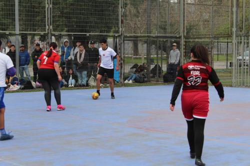 Alianzas de Aniversario 2024