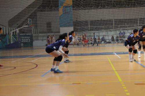 vs UDLA