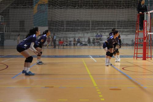 vs UDLA