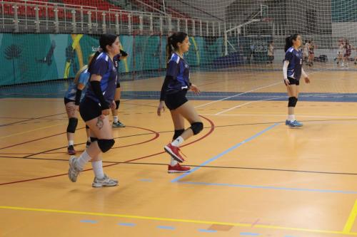 vs UDLA