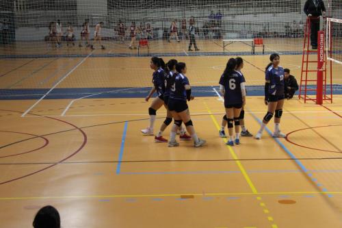vs UDLA
