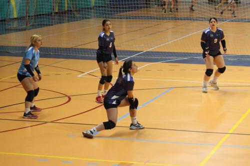vs UDLA
