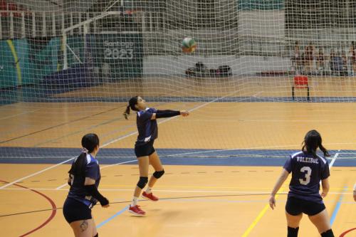 vs UDLA