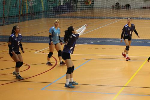 vs UDLA