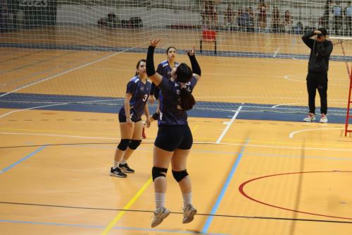vs UDLA