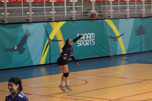 vs UDLA