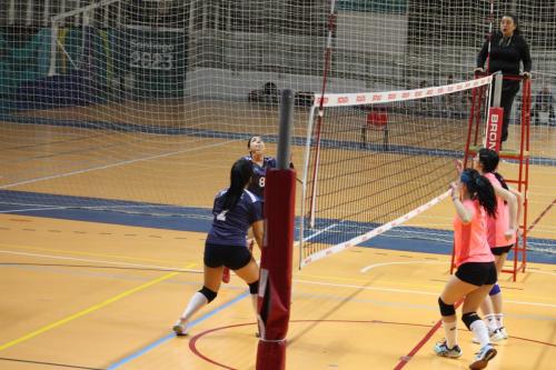 vs UDLA