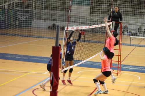 vs UDLA